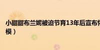 小甜甜布兰妮被迫节育13年后宣布怀孕(现任老公是一名男模)