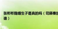 张彬彬隐婚生子是真的吗(司藤秦放恋爱无果张彬彬妻子是谁)