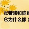 张若昀和陈昆仑什么关系（揭秘张若昀和陈昆仑为什么像）