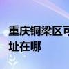 重庆铜梁区可提供中税针式打印机维修服务地址在哪