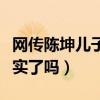 网传陈坤儿子生母是何琳（陈坤儿子生母被证实了吗）
