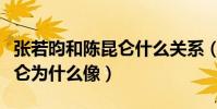 张若昀和陈昆仑什么关系(揭秘张若昀和陈昆仑为什么像)