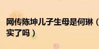 网传陈坤儿子生母是何琳(陈坤儿子生母被证实了吗)