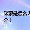 咪蒙是怎么火起来的（起底咪蒙的个人资料简介）