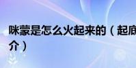 咪蒙是怎么火起来的(起底咪蒙的个人资料简介)