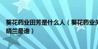 葵花药业田芳是什么人(葵花药业关玉秀关一的母亲不是张晓兰是谁)