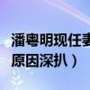 潘粤明现任妻子是谁（和前妻董洁离婚是什么原因深扒）