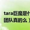 tara巨魔是什么意思（刘华英被曝搞垮了一个团队真的么）