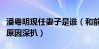 潘粤明现任妻子是谁(和前妻董洁离婚是什么原因深扒)