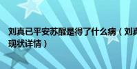 刘真已平安苏醒是得了什么病(刘真老公辛龙被爆心态崩溃现状详情)