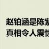 赵铂涵是陈紫函的儿子吗（和谁一起生的知晓真相令人震惊）
