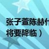 张子萱陈赫什么时候在一起（网曝二人的二胎将要降临）