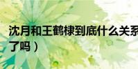 沈月和王鹤棣到底什么关系(两人真的在一起了吗)