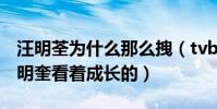 汪明荃为什么那么拽(tvb的很多高层都是汪明奎看着成长的)