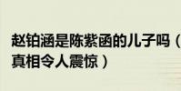 赵铂涵是陈紫函的儿子吗(和谁一起生的知晓真相令人震惊)