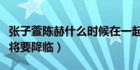 张子萱陈赫什么时候在一起(网曝二人的二胎将要降临)