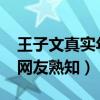 王子文真实年龄是1982吗（出演欢乐颂而被网友熟知）