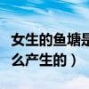女生的鱼塘是什么意思（海王和鱼塘的梗是怎么产生的）