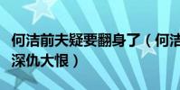 何洁前夫疑要翻身了(何洁和赫子铭究竟有何深仇大恨)