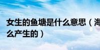 女生的鱼塘是什么意思(海王和鱼塘的梗是怎么产生的)
