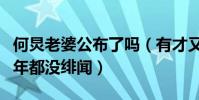 何炅老婆公布了吗(有才又有颜怪不得何炅多年都没绯闻)