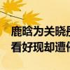 鹿晗为关晓彤庆生（持续3年深夜狗粮不被人看好现却遭催婚）