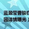 蓝盈莹曹骏在一起几年（蓝盈莹与曹骏分手原因详情曝光）