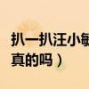扒一扒汪小敏八卦（汪小敏当初走光的照片是真的吗）