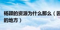 杨颖的资源为什么那么(因为娱乐圈是个靠脸的地方)