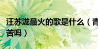 汪苏泷最火的歌是什么(青春的声音原来那么苦吗)