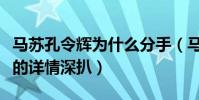 马苏孔令辉为什么分手(马苏孔令辉怎么认识的详情深扒)
