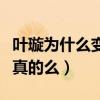 叶璇为什么变这样了（网曝叶璇有精神障碍是真的么）