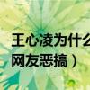 王心凌为什么叫河马（给人感觉很憨厚淳朴被网友恶搞）