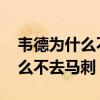 韦德为什么不能把胡子弄到头发上 韦德为什么不去马刺 