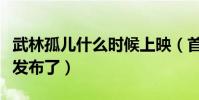 武林孤儿什么时候上映(首支荒诞风格预告片发布了)