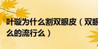 叶璇为什么割双眼皮(双眼皮在国内真的就那么的流行么)