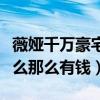 薇娅千万豪宅曝光（薇娅一年收入有多少为什么那么有钱）
