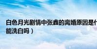 白色月光剧情中张鑫的离婚原因是什么(为救张一做的选择能洗白吗)