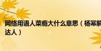 网络用语人菜瘾大什么意思(杨幂解释人菜瘾大被赞8G冲浪达人)