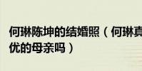 何琳陈坤的结婚照(何琳真的会是陈坤儿子优优的母亲吗)