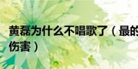 黄磊为什么不唱歌了(最的朋友离世给他造成伤害)