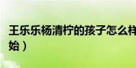 王乐乐杨清柠的孩子怎么样了(父母各自新开始)