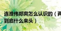 连淮伟郑爽怎么认识的(两人合照曝光连淮伟到底什么来头)