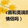 c菌和莫璃现在怎么了（c菌和莫璃真是一对情侣吗）