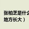 张柏芝是什么样的一个人（她在香港最复杂的地方长大）