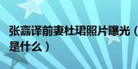 张嘉译前妻杜珺照片曝光(张嘉译离婚的原因是什么)
