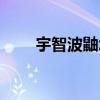 宇智波鼬怎么死的（大家可以看看）