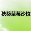 秋葵草莓沙拉如何做（秋葵草莓沙拉的做法）