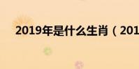 2019年是什么生肖(2019年有多少天)