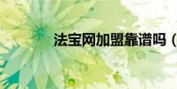 法宝网加盟靠谱吗(法宝网)